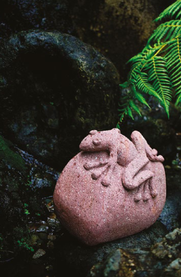 Del agua y la salamandra